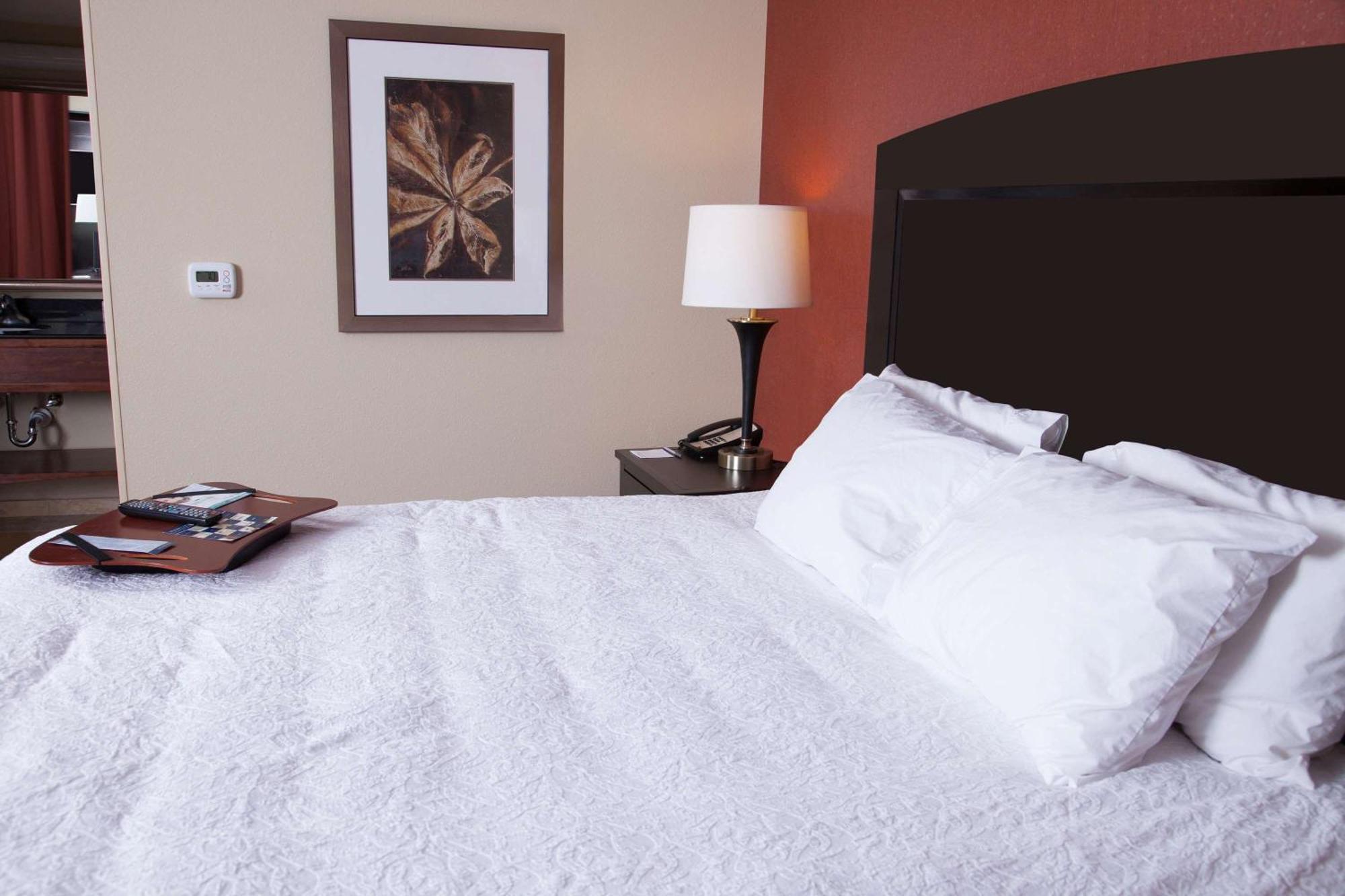 Hampton Inn & Suites Dickinson Nd Exteriér fotografie