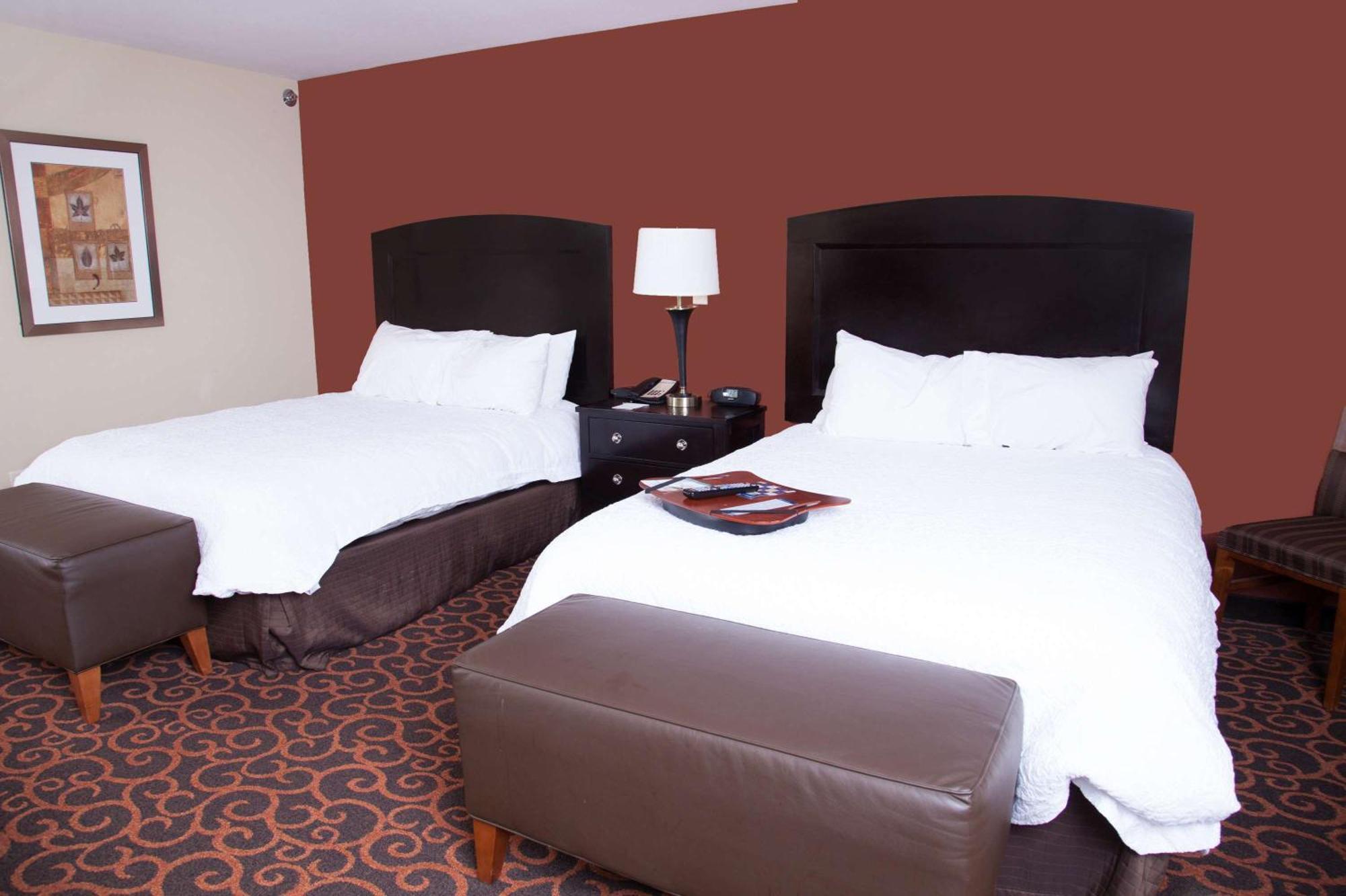 Hampton Inn & Suites Dickinson Nd Exteriér fotografie