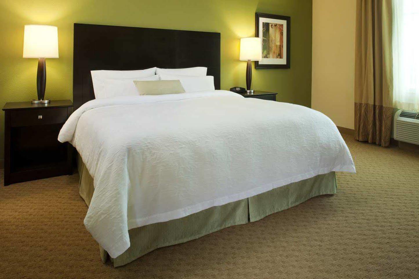 Hampton Inn & Suites Dickinson Nd Pokoj fotografie